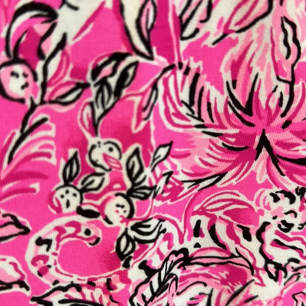 Lilly Pulitzer dress - Picture 4 of 7